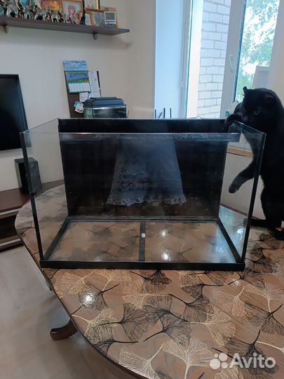Аквариум