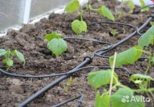 Капельный полив под ключ / полив от емкости