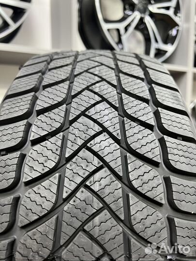 Delinte Winter WD1 225/55 R17 97T