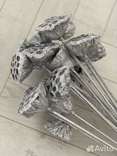 Лотос сухоцветы на ножке серебро