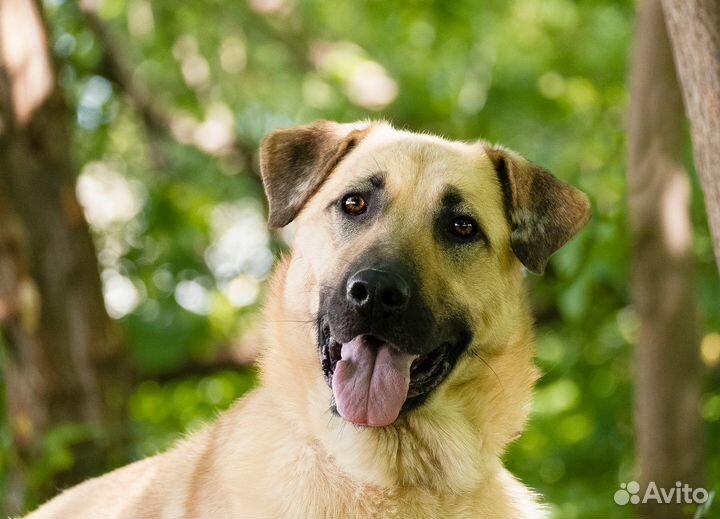 Молодой мальчишка попал в приют