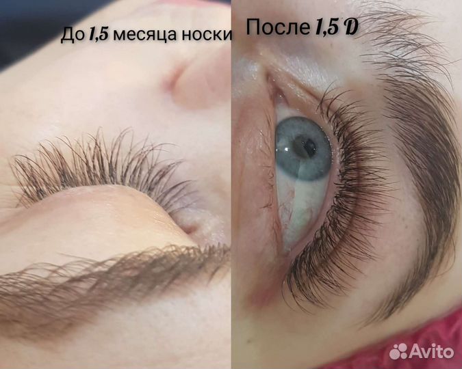 Красота