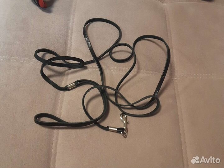 Шлейка для маленькой собаки с поводком