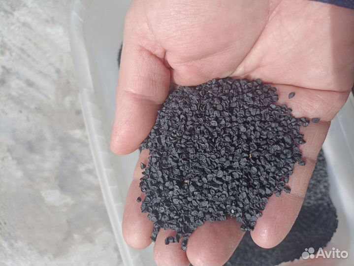 Семена лука чернушка