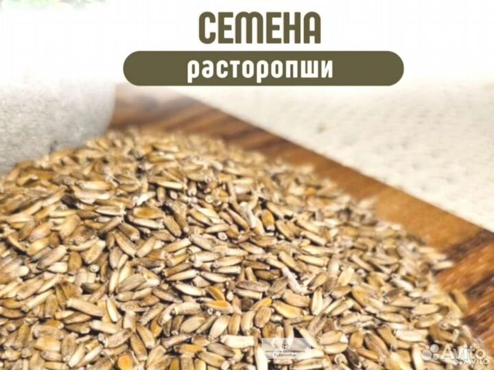 Семена рассторопши на заказ