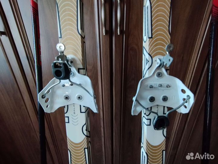 Беговые лыжи