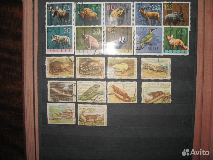 Почтовые марки (зарубежные) - фауна - животные