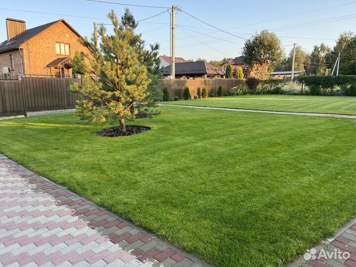 Скарификатор Аэратор аренда