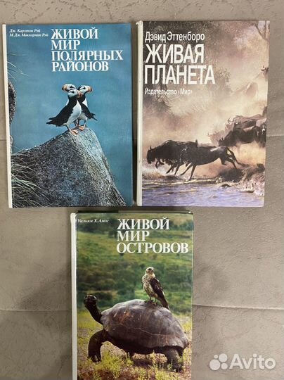 Познавательные книги для детей