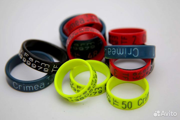 Кольца для кур бойцовых петухов