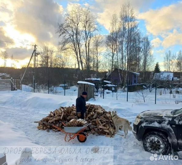 Дрова осиновые хвойные навалом