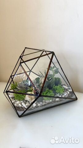 Флорариум «Бриллиант» - удивит любого