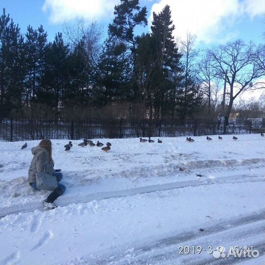 Норковая шуба