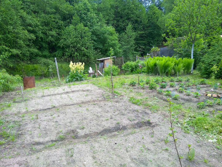 Дача 40 м² на участке 8,5 сот.