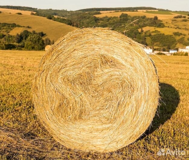 Солома в рулонах