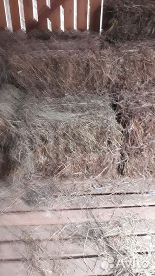 Сено в тюках