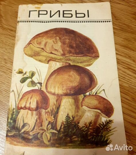 Книги о грибах. Ягоды