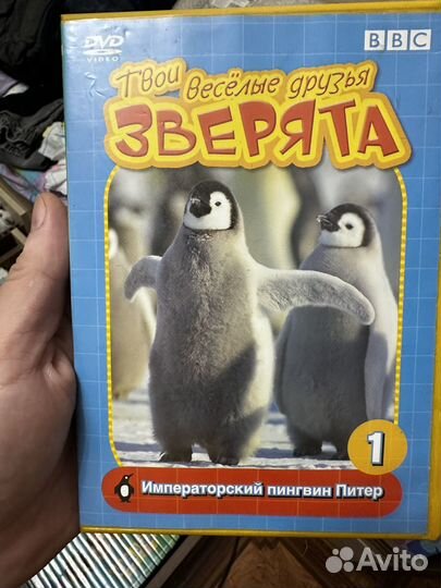Обучающие Dvd диски