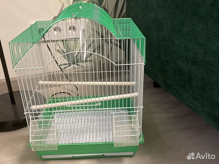 Клетка для попугая