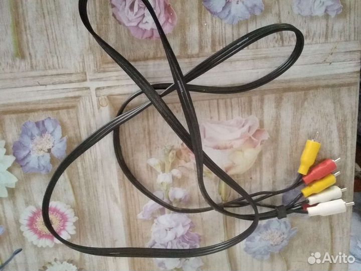 Тюльпаны провода