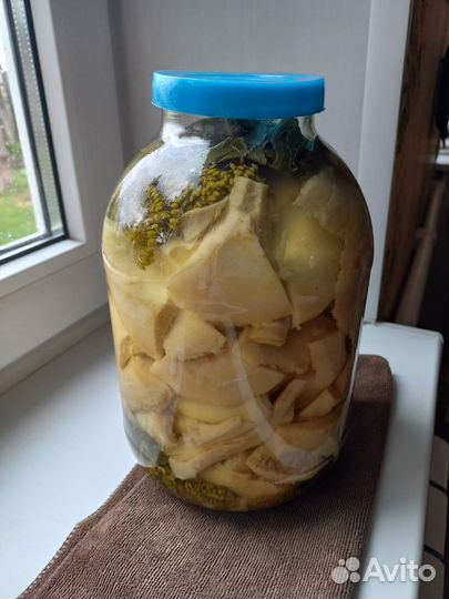 Грибы, грузди