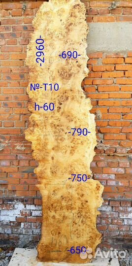 Слэб тополя