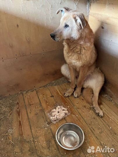 Думаешь обо мне, и я существую