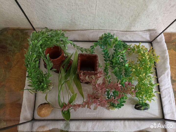 Аквариума 100