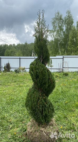 Украшения для сада