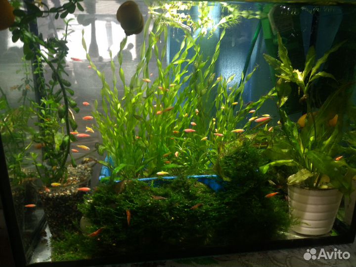 Украшение для аквариума