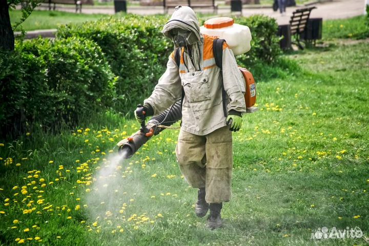 Дезинфекция клопов тараканов плесени запахов крыс