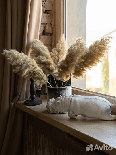 Сухоцветы для декора Камыш тростник Пампасная трав