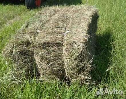 Пресс-подборщик Fortschritt К-454, 1996