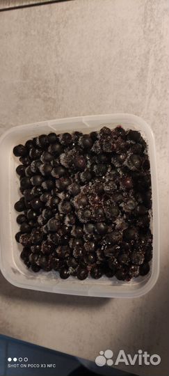 Черника ягода