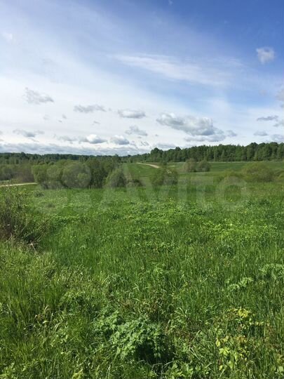 Участок 31 сот. (ИЖС)