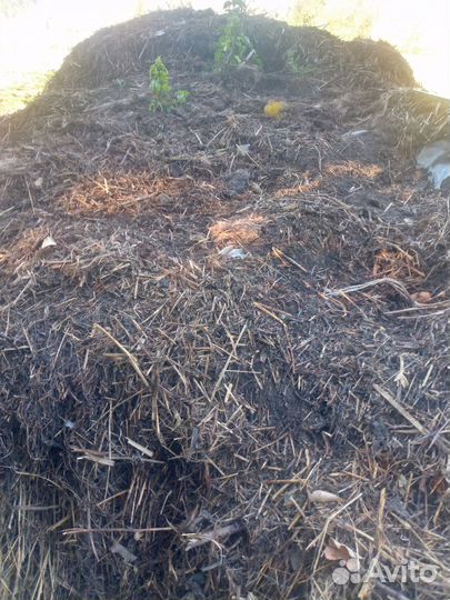 Навоз перегной