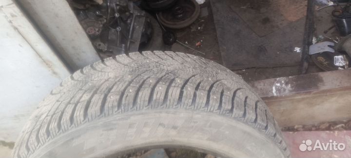 Triangle IcelynX TI501 205/65 R16