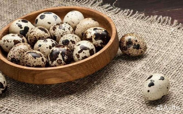 Яйца куриные,перепелиные,домашние
