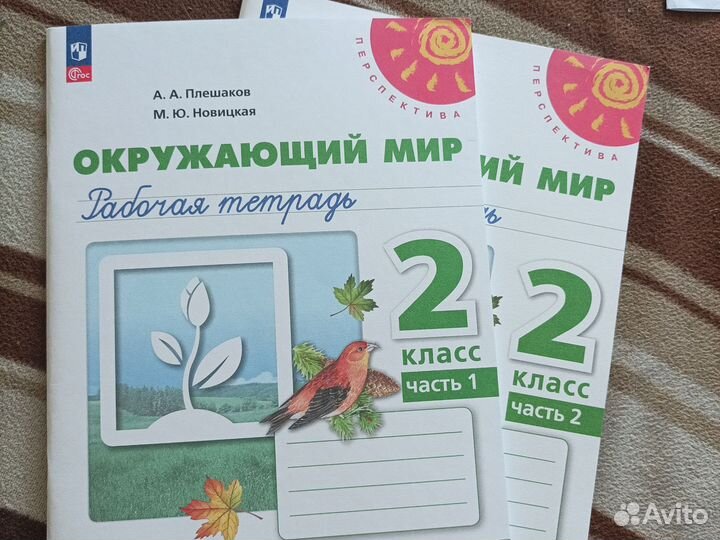 Рабочие тетради 2 класс