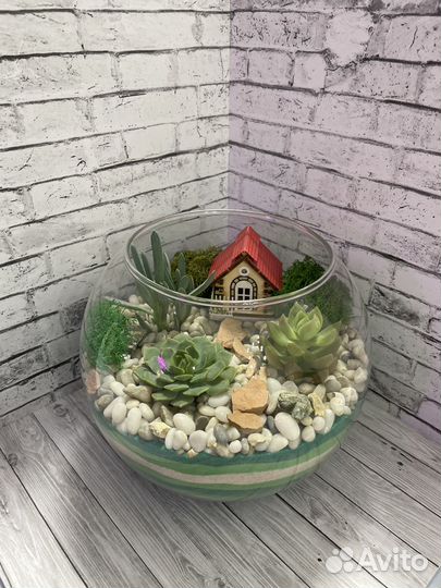 Флорариум с суккулентами