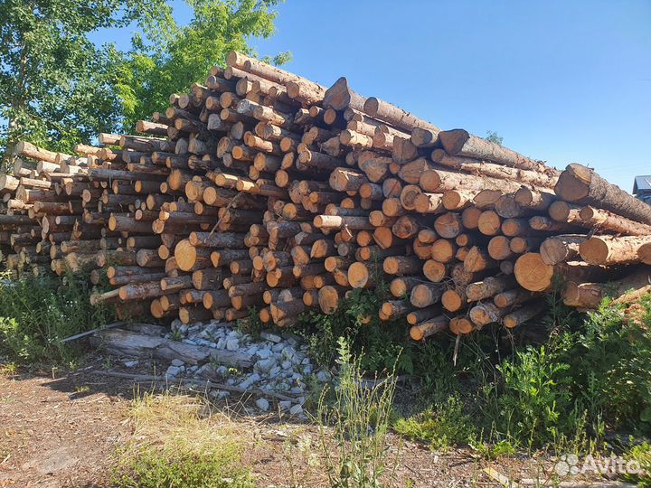 Дрова хвойные