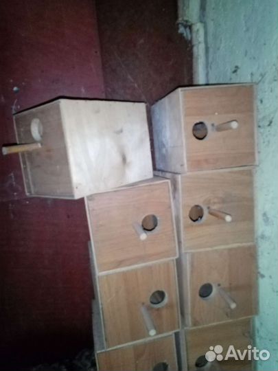 Домики для попугаев