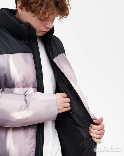 Anteater DownjacketPrint