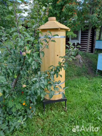 Колода для пчел