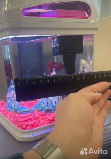 Аквариум 3 л