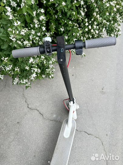 Самокат xiaomi m365 pro
