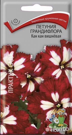 Рассада петунии