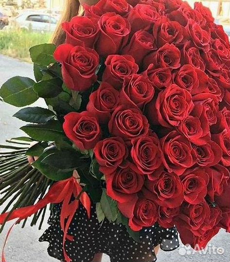 Высокие розы Гигантские розы Доставка цветов
