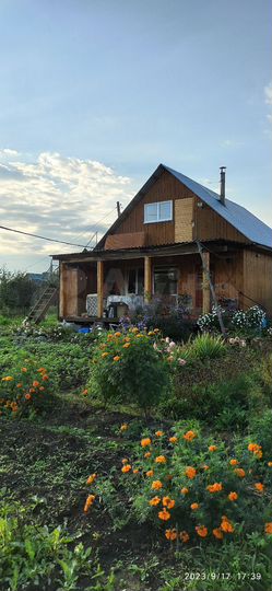 Дом 50 м² на участке 23 сот.