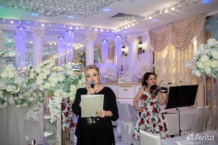 Электроскрипка украсит Ваш праздник